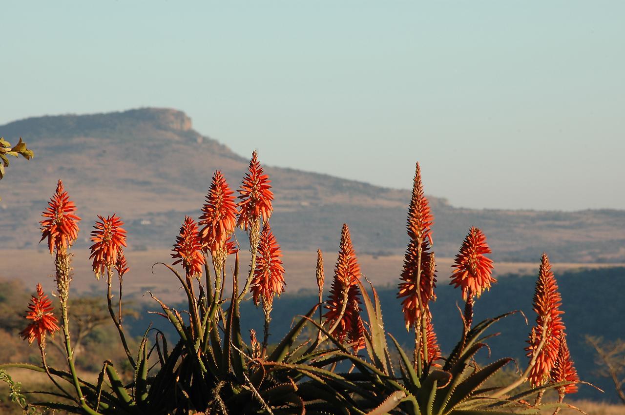 Fugitives Drift Guest House Rorke's Drift Exterior photo
